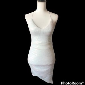 Windsor Iridescent Sequined Dress